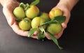 Older man holds green plums